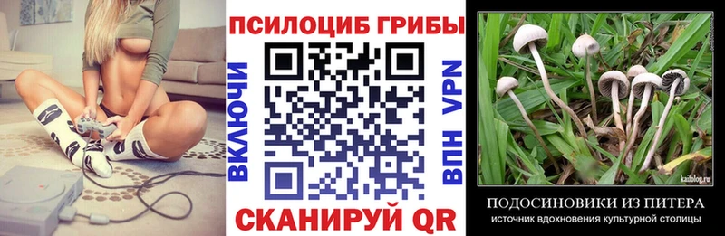 Галлюциногенные грибы Psilocybine cubensis где можно купить Ялта